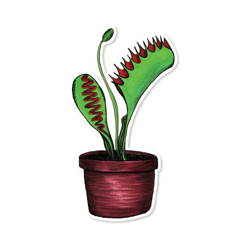 Venus Flytrap Illustrated Sticker