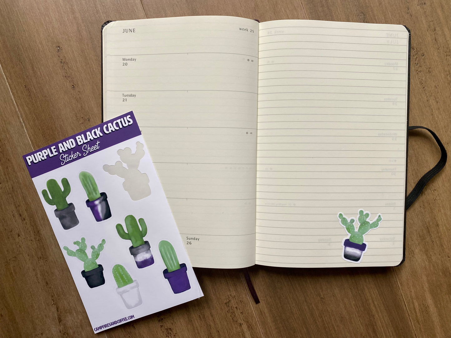 Purple and Black Watercolor Cactus Asexual Pride Sticker Sheet