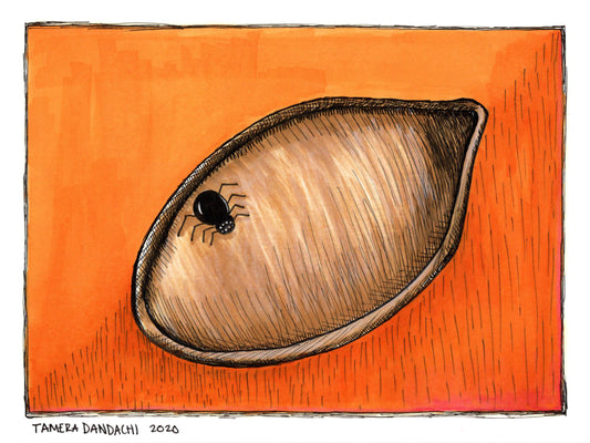 Pumpkin Seed Ink Illustration Art Print